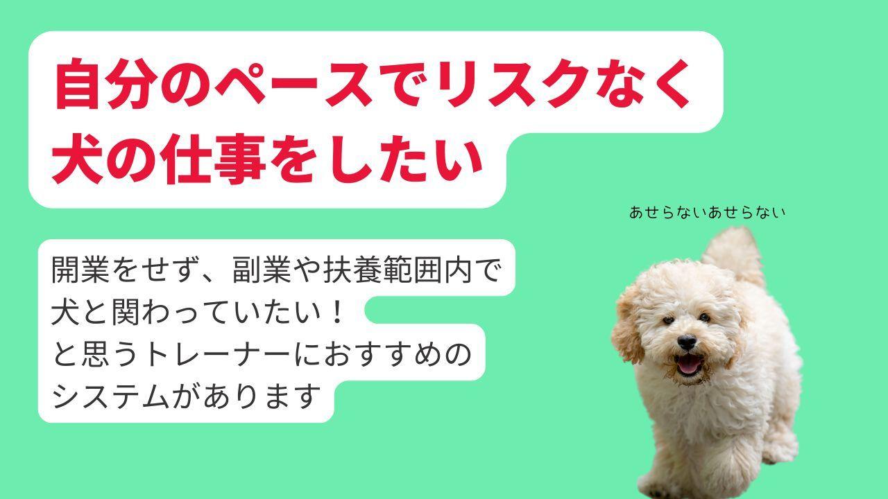 自分のペースで無理なく犬の仕事をしたい方におすすめです。扶養範囲内、ダブルワーク、副業で犬と関わることができます。